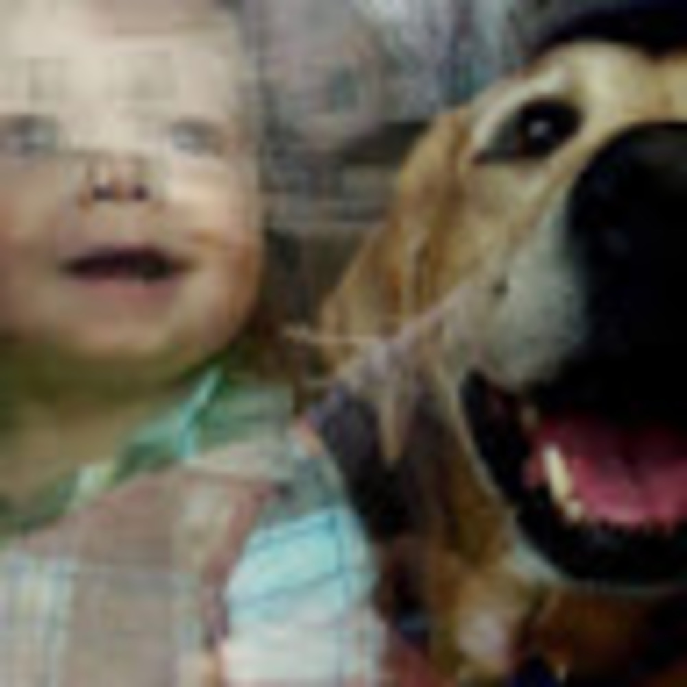 Meet your Posher, Kelly